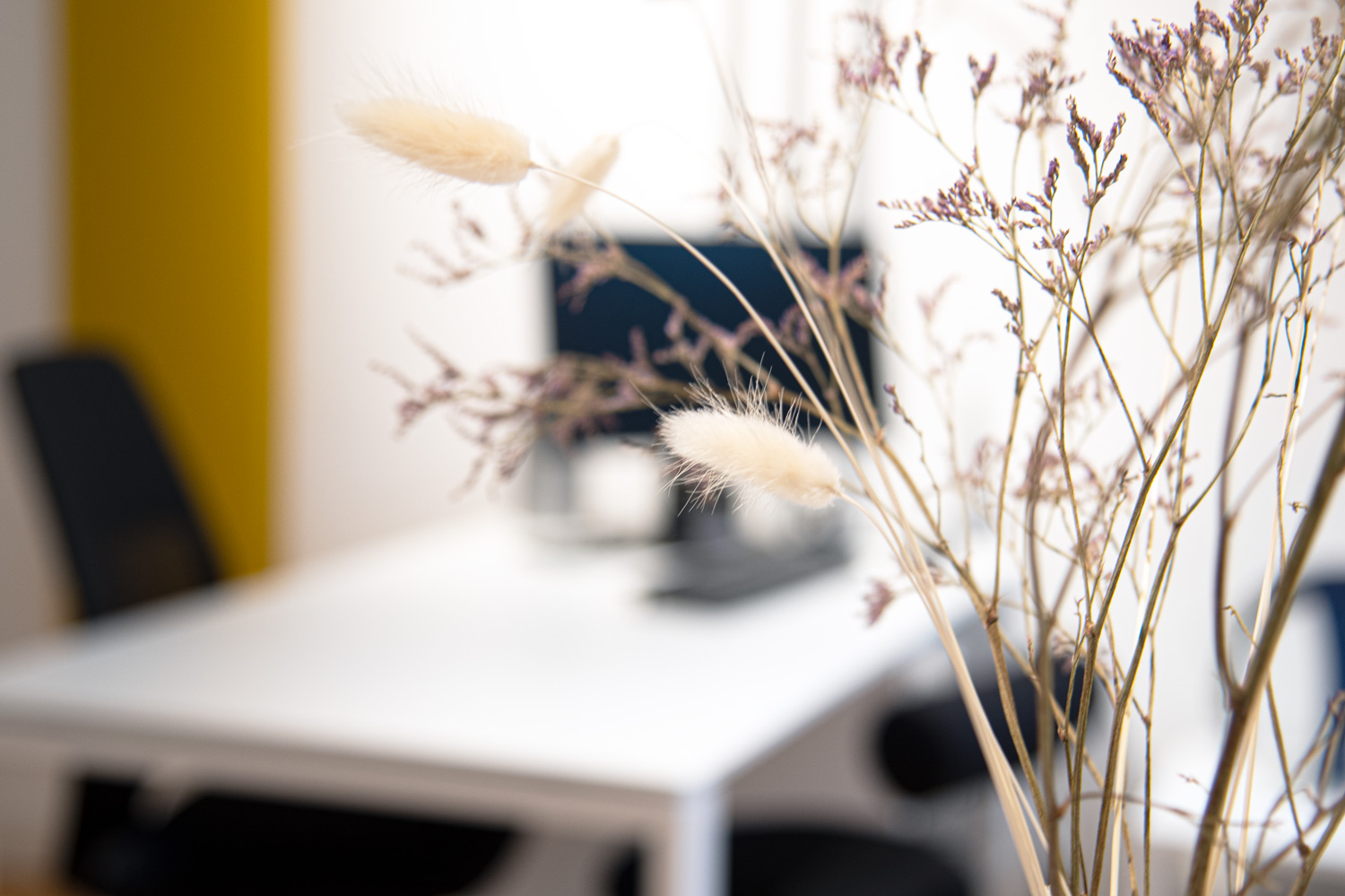 H&B Hörtechnik Geisenheim Winkelerstraße 65, Hörgeräte, Gehörschutz, Hörgeräteanpassung; Fotografie Melissa Klingelhöfer